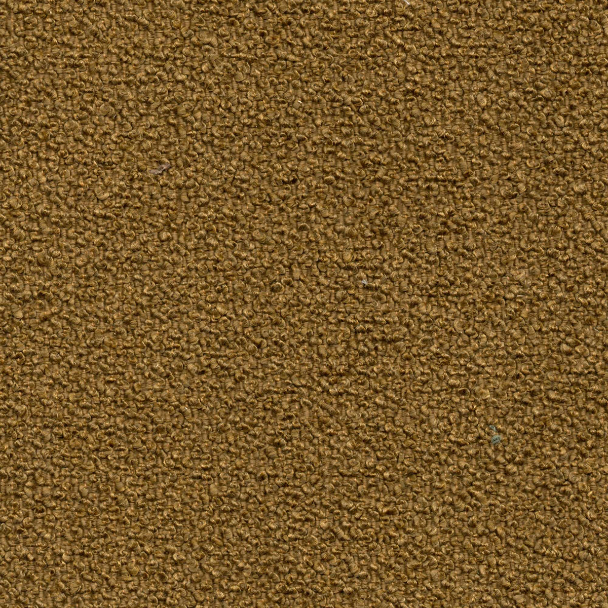 Tessuto Bardot Mustard ba520 – tessuto bouclé, colore giallo