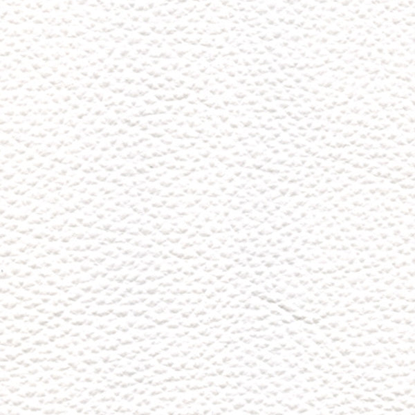 PELLE NATURAL Bianco 4001