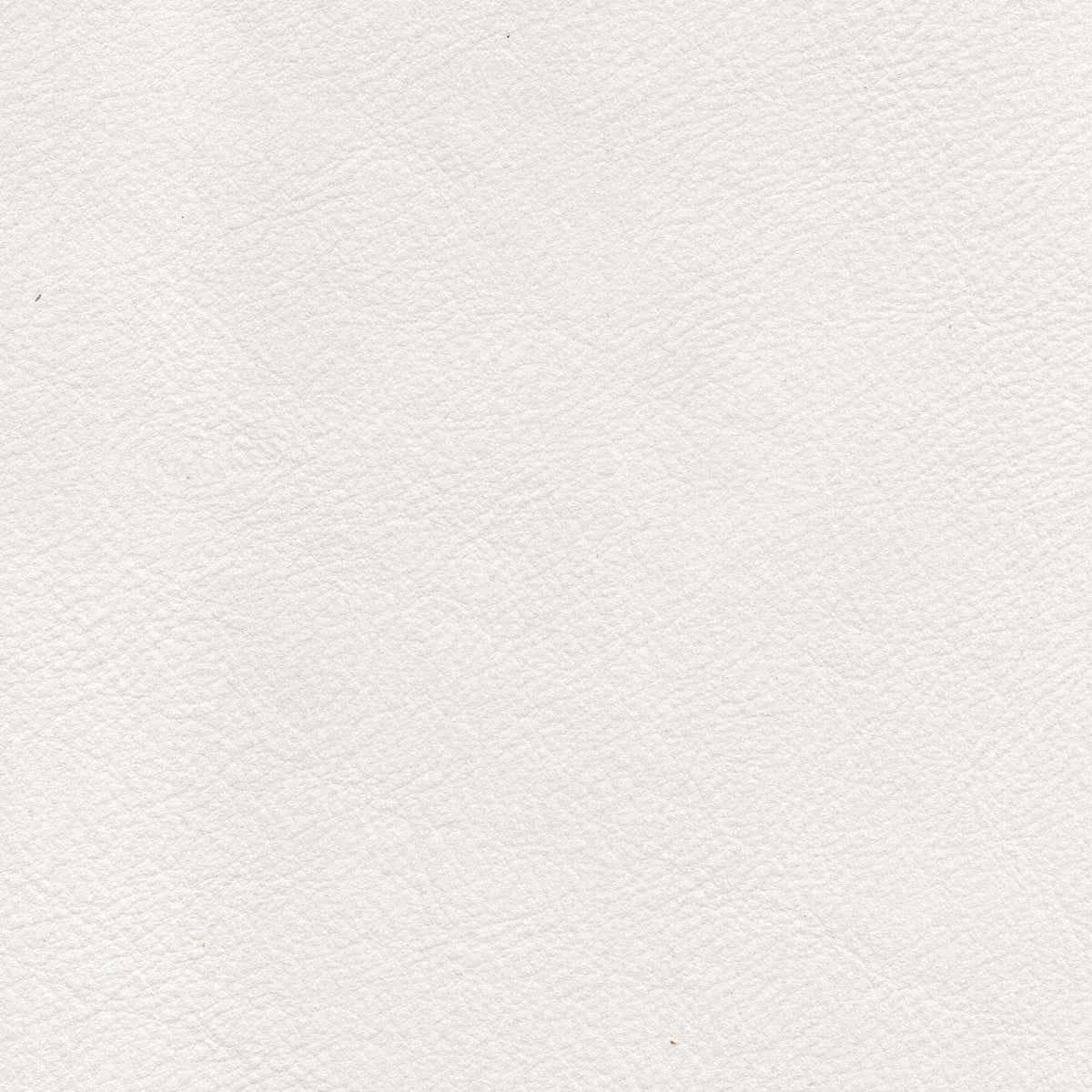 Pelle Brina Stone 5213 – vera pelle soft-touch effetto matte, colore bianco