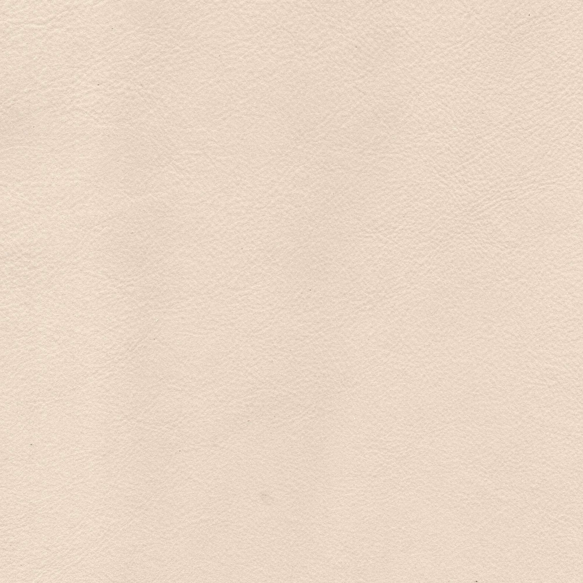 Pelle Brina Sahara 5214 – vera pelle soft-touch effetto matte, colore beige
