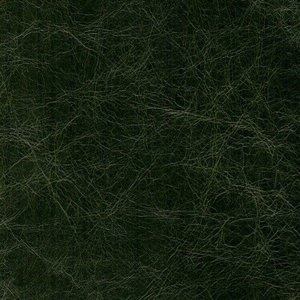 PELLE ETRUSCO British Green 8003