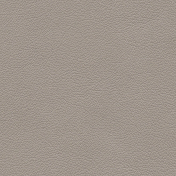 PELLE ELEGANCE Camoscio 2011