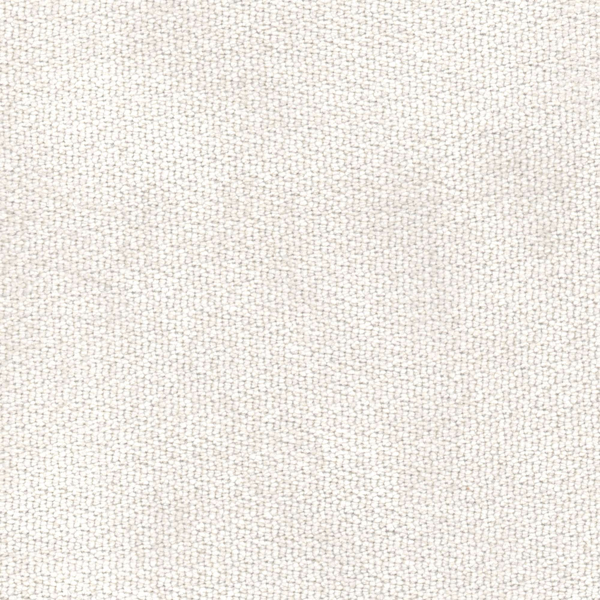 Tessuto Campbell White ca02 – tessuto vellutato dalla texture compatta, colore bianco