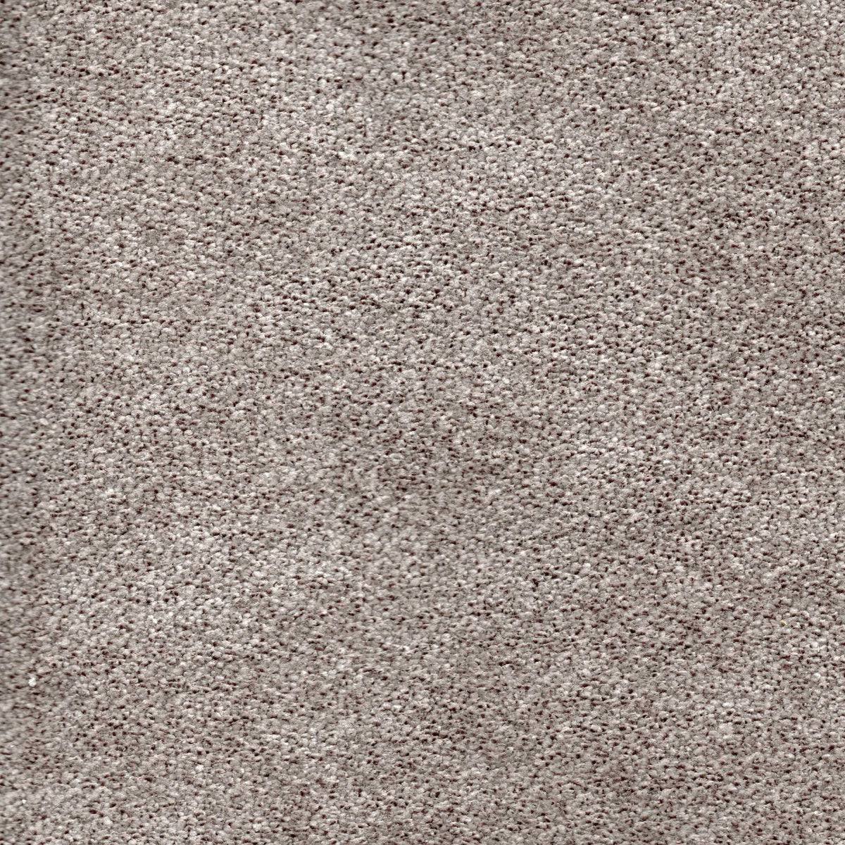 Tessuto Campbell Nougat ca06 – tessuto vellutato dalla texture compatta, colore tortora