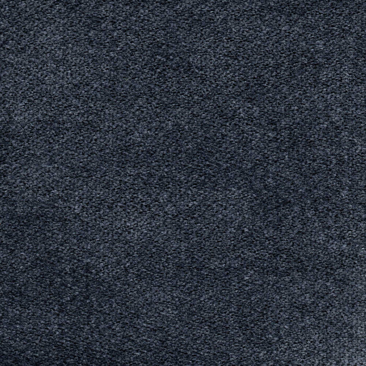 Tessuto Campbell Navy ca10 – tessuto vellutato dalla texture compatta, colore blu notte