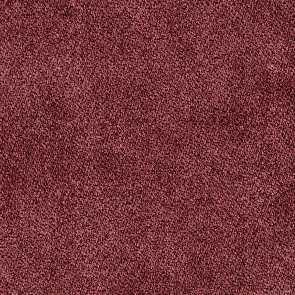 Tessuto Campbell Marsala ca31 – tessuto vellutato dalla texture compatta, colore bordeaux