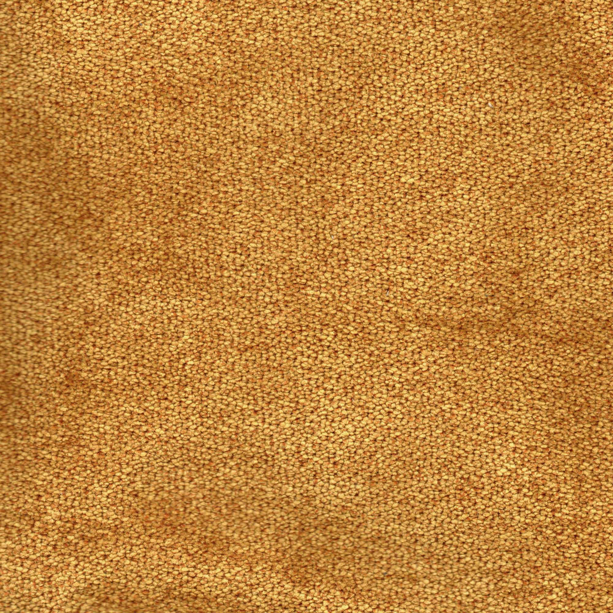 Tessuto Campbell Mustard ca520 – tessuto vellutato dalla texture compatta, colore giallo senape
