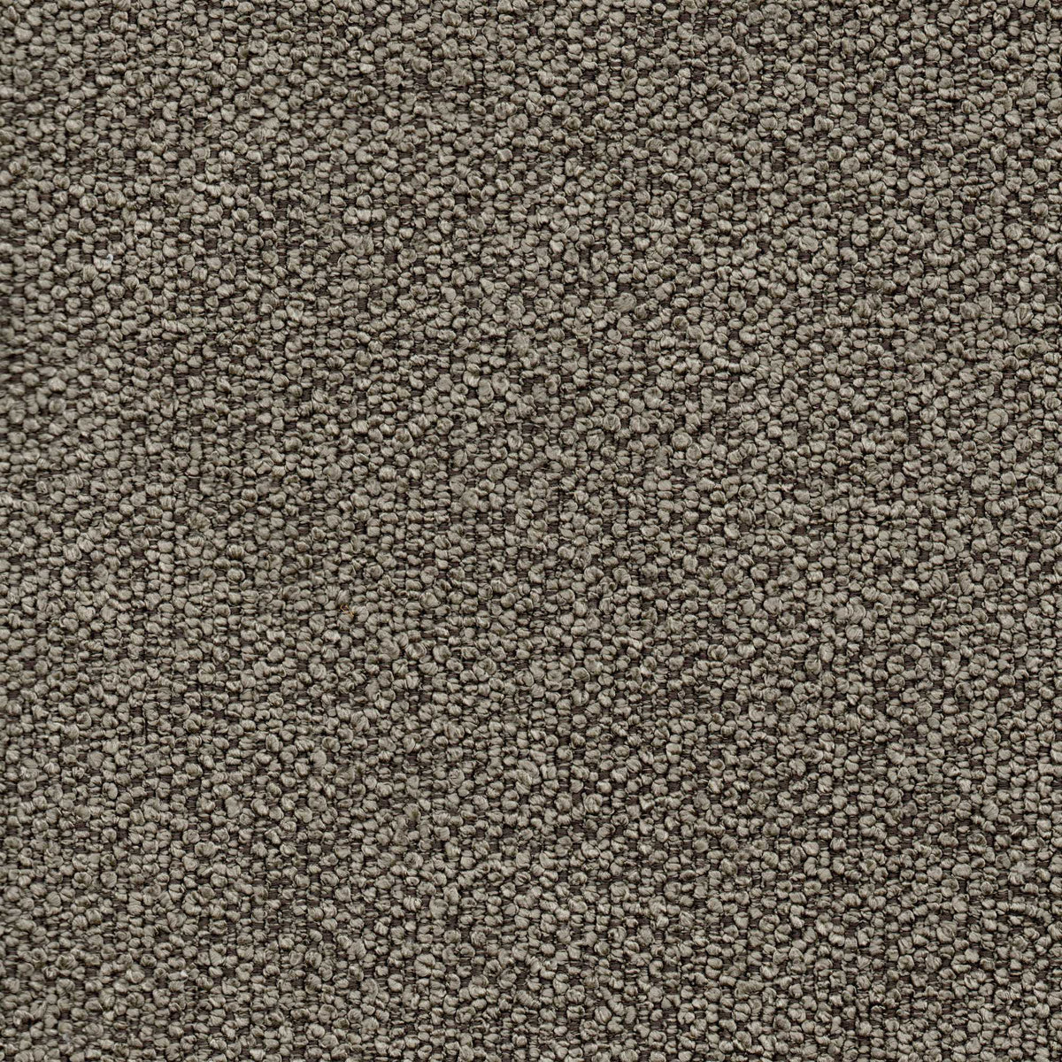 Tessuto Cloe Dark Brown CL16 – bouclé dai riccioli fitti e regolari