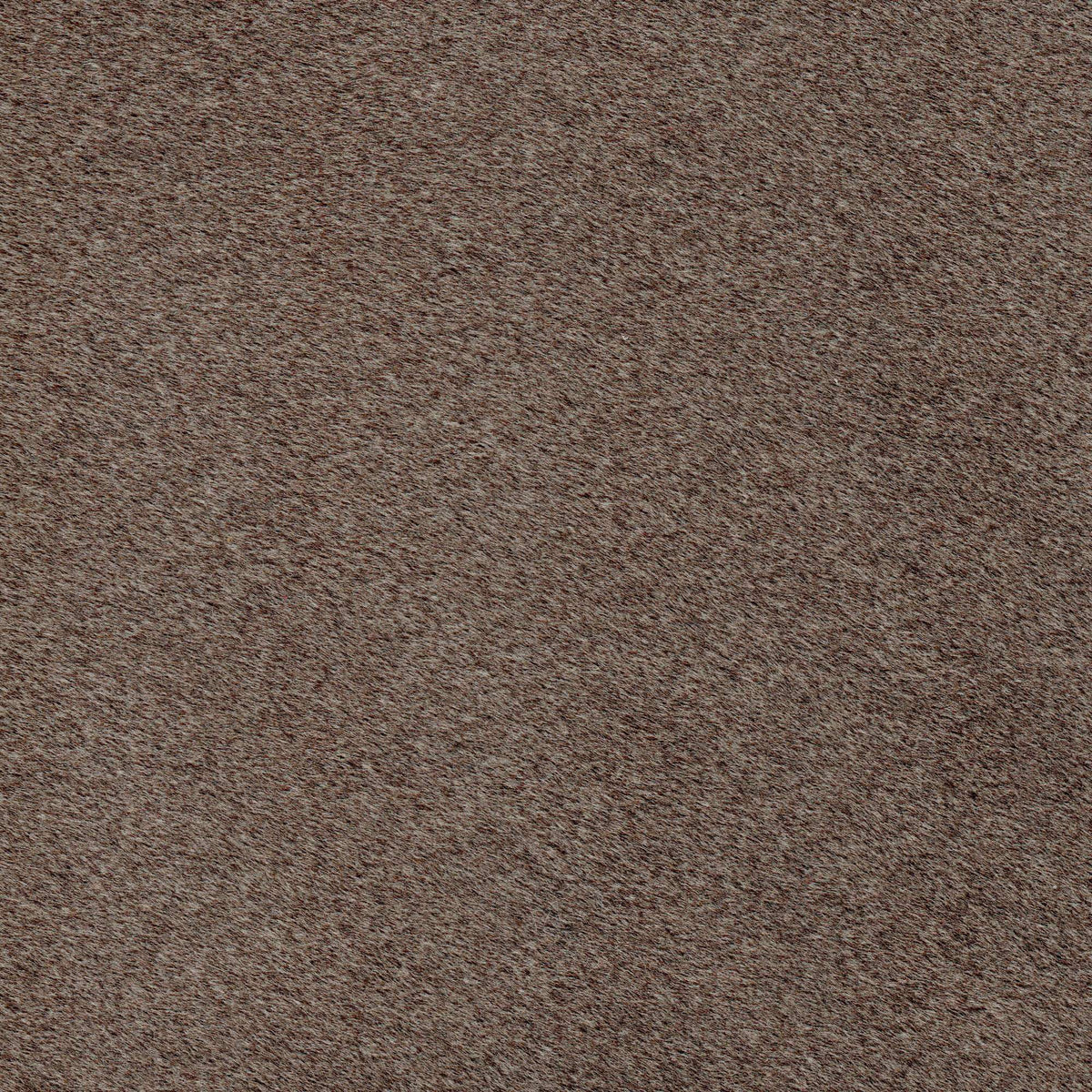 Tessuto Mohair Brown MH08 – tessuto a pelo rasato dalla mano vellutata