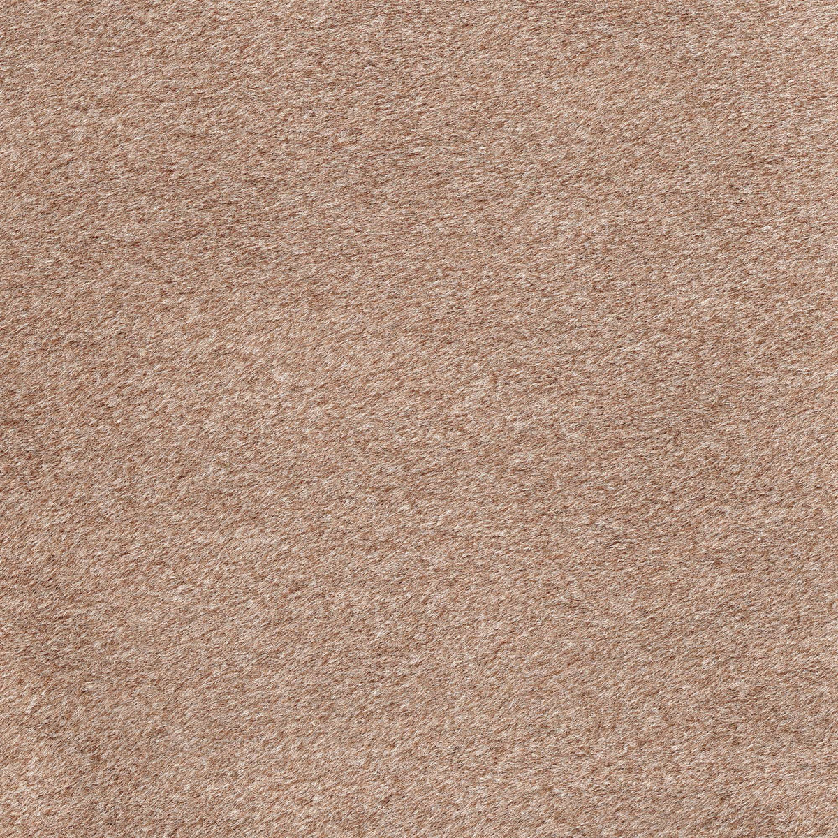 Tessuto Mohair Light Brown MH15 – tessuto a pelo rasato dalla mano vellutata
