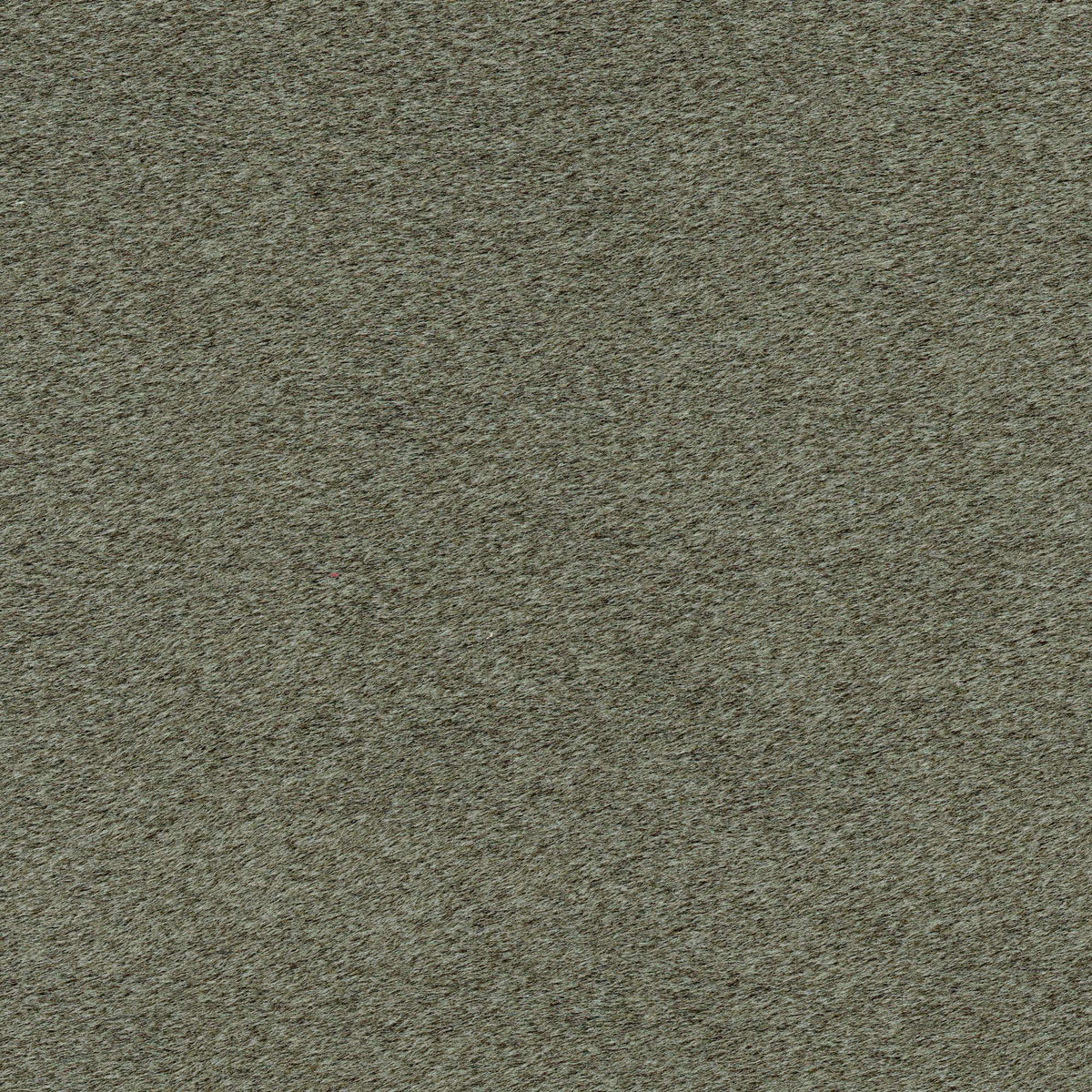 Tessuto Mohair Green MH429 – tessuto a pelo rasato dalla mano vellutata