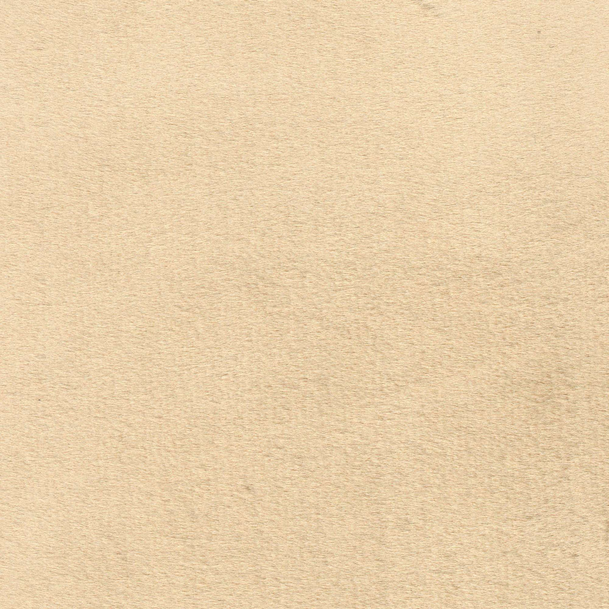 Tessuto Milano Beige MI170 – velluto a pelo alto dalla mano soffice