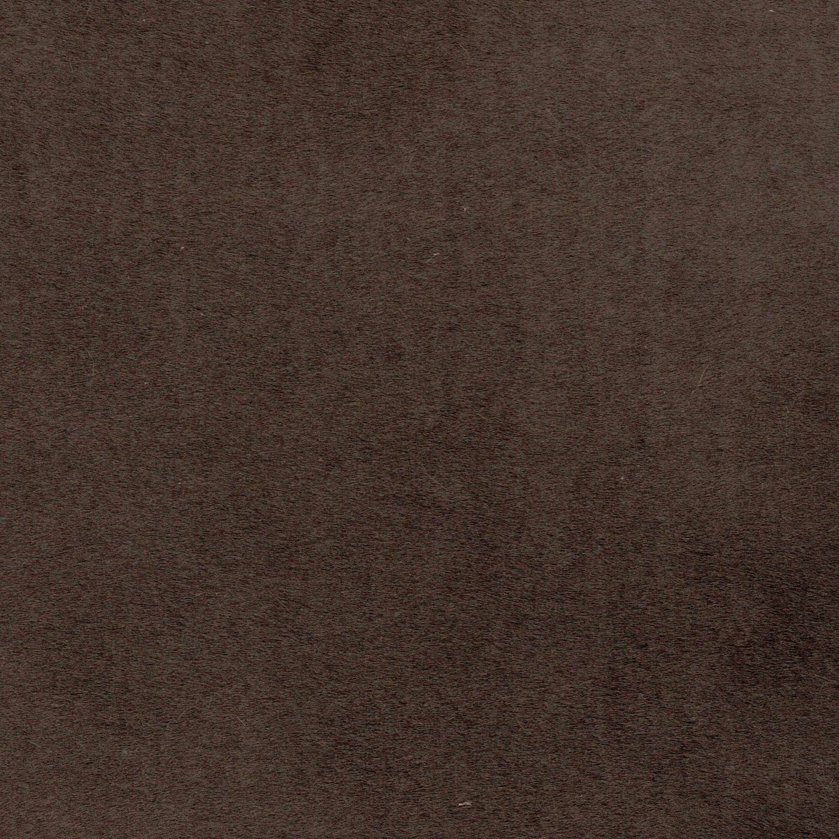 Tessuto Milano Chocolate MI260 – velluto a pelo alto dalla mano soffice