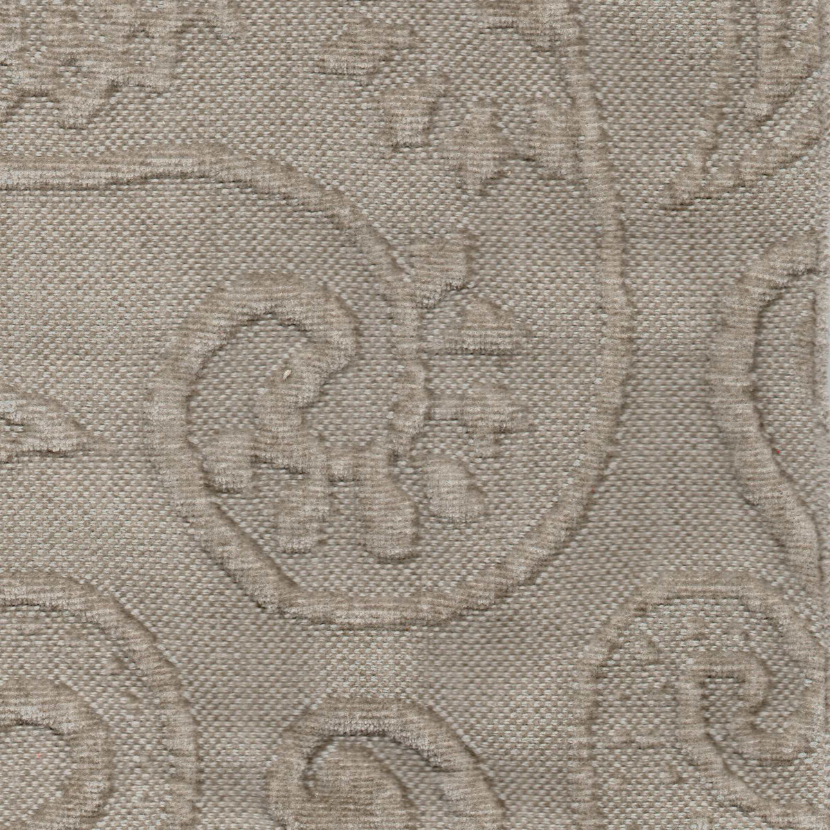 Tessuto Paisley Taupe PA03 – motivo paisley in rilievo su tessuto bielastico