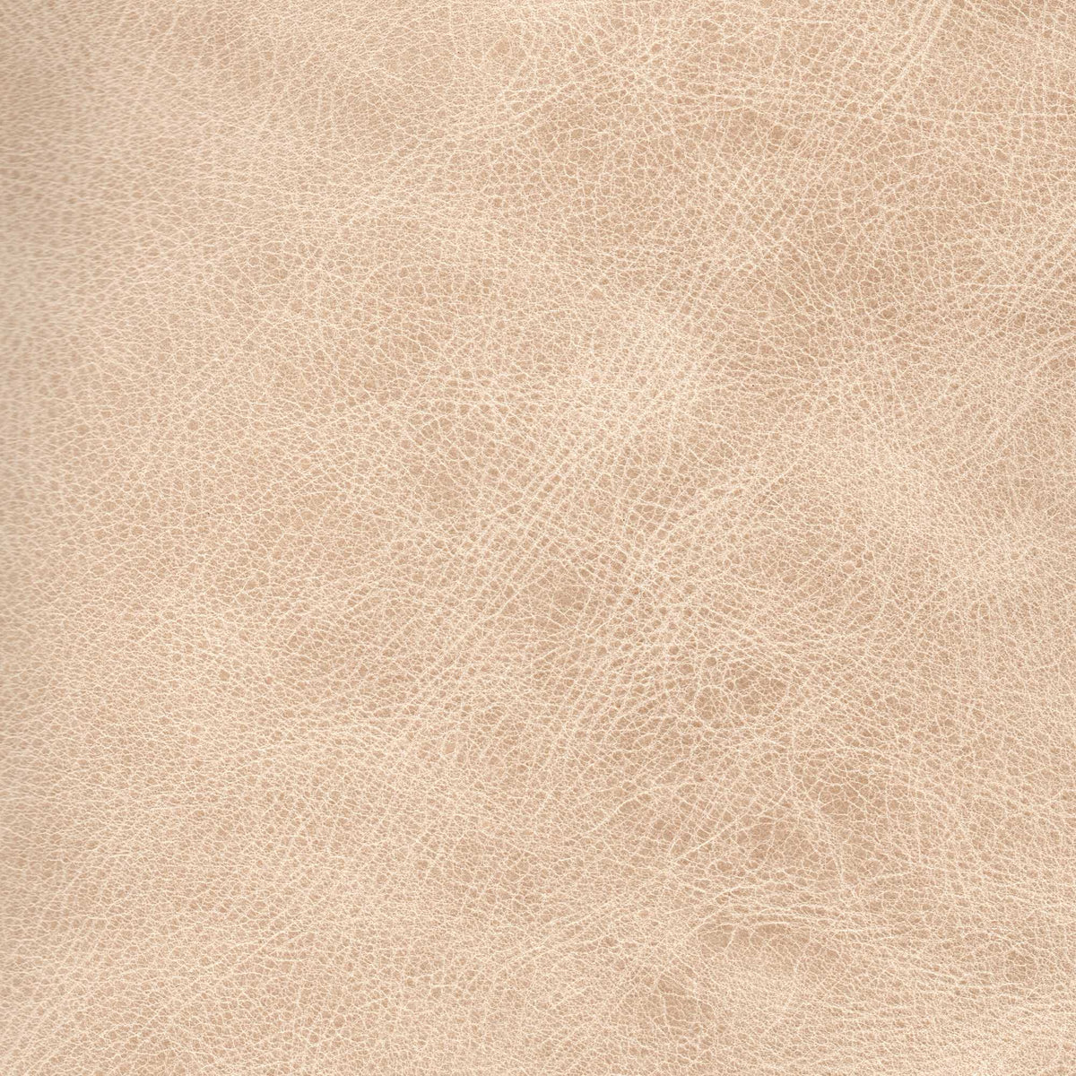 Pelle Stone Rye 7001 – vera pelle a superficie naturale irregolare, colore beige