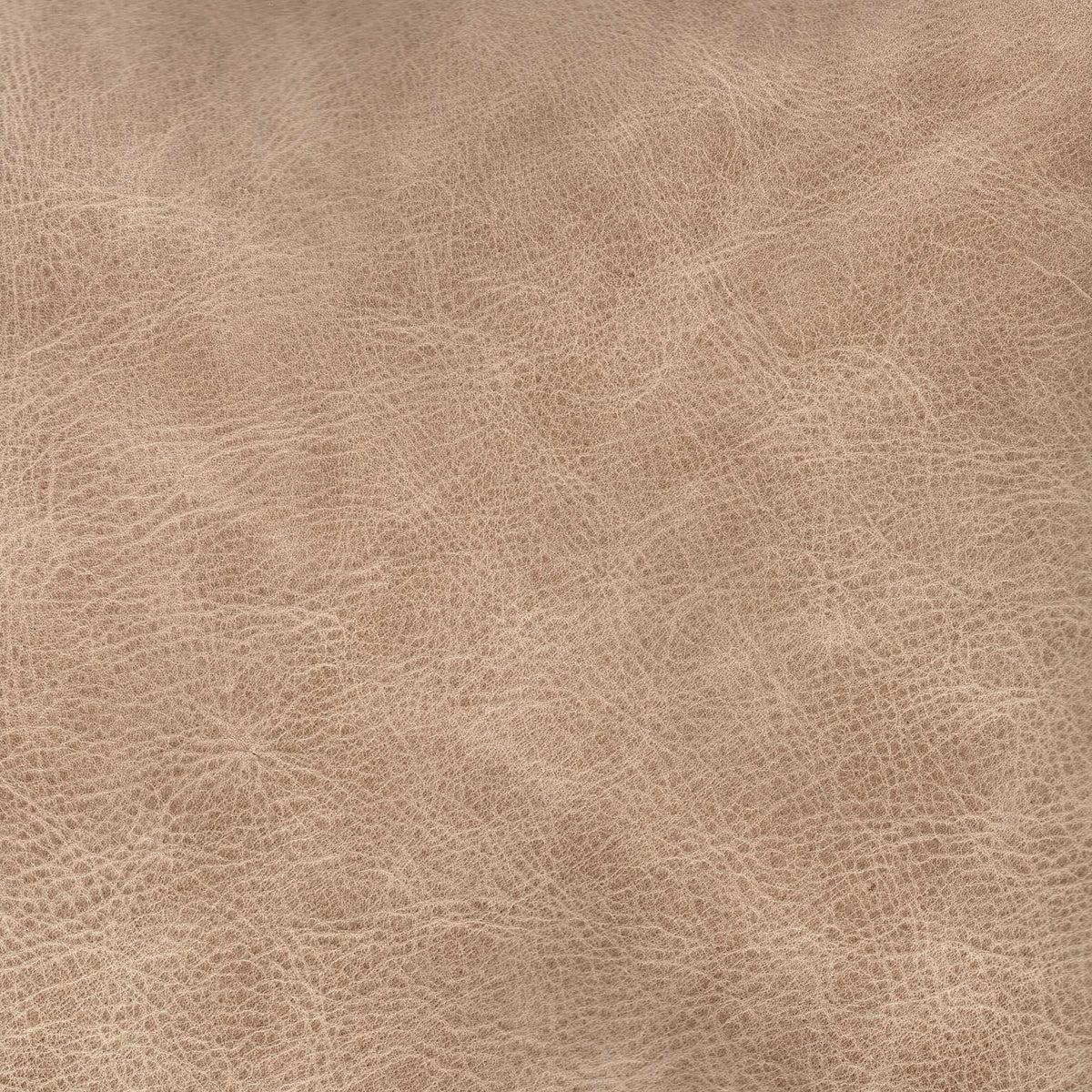 Pelle Stone Barley 7004 – vera pelle a superficie naturale irregolare, colore beige