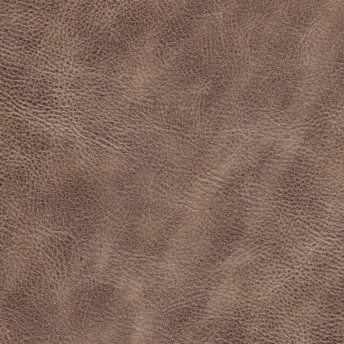 Pelle Stone Testa di Moro 7005 – vera pelle a superficie naturale irregolare, colore marrone