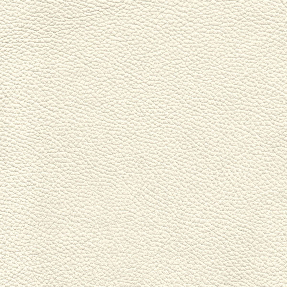 Pelle Uruguay Ivory 1001 – vera pelle a stampa fine, colore bianco