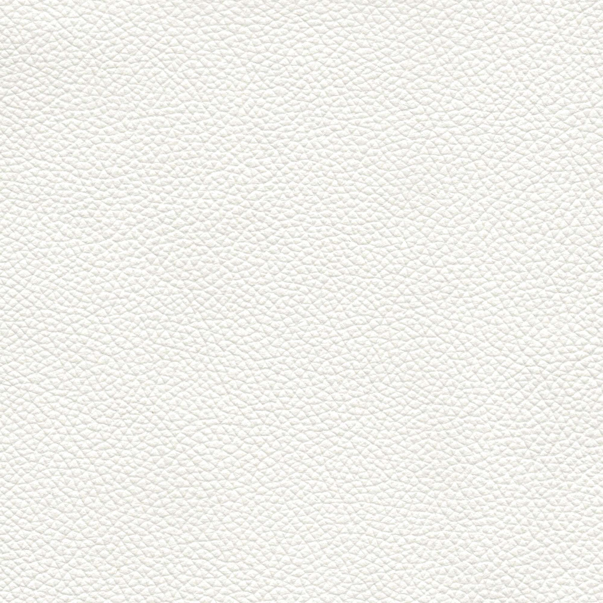 Pelle Uruguay Bianco 1005 – vera pelle a stampa fine, colore bianco