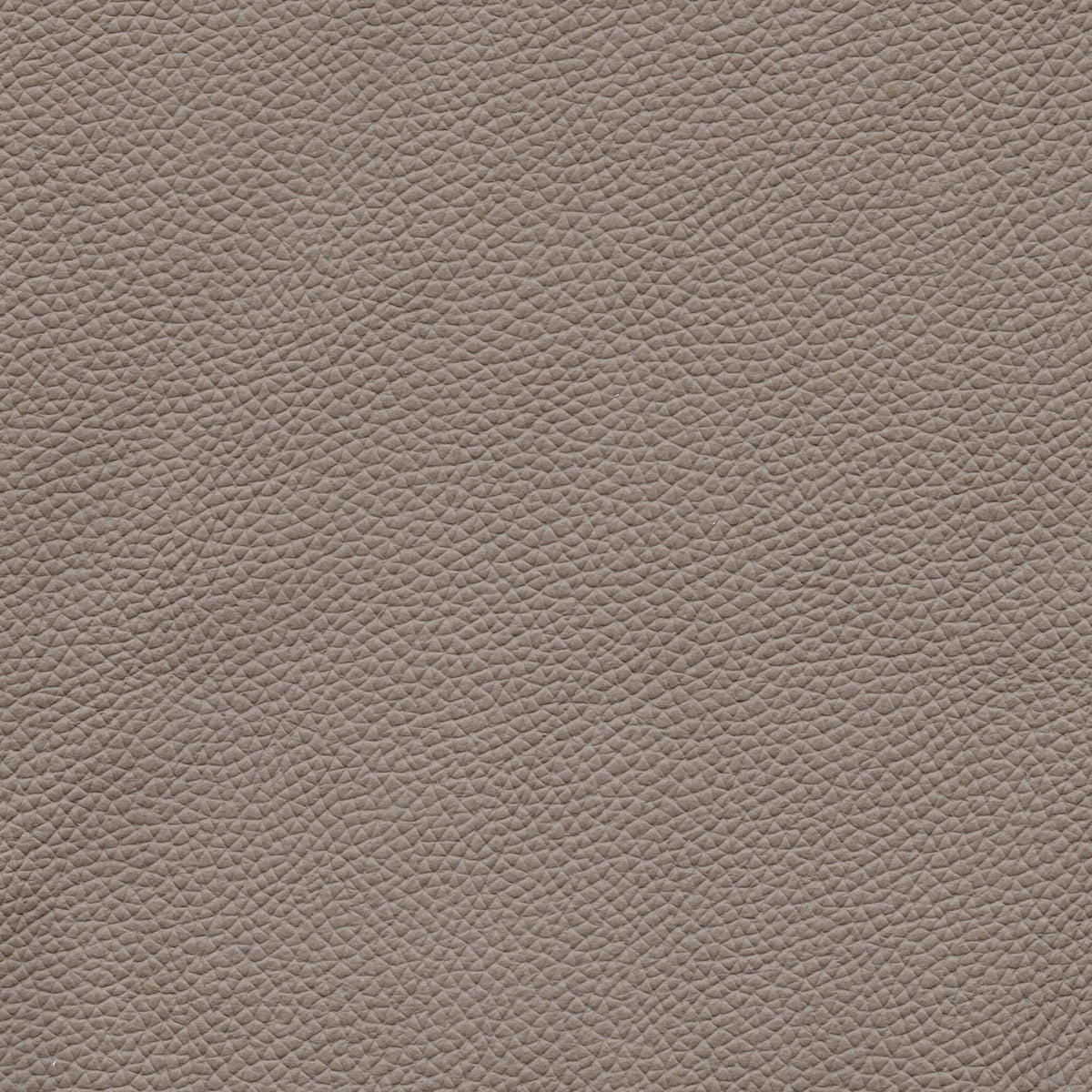 Pelle Uruguay Talpa 1007 – vera pelle a stampa fine, colore marrone