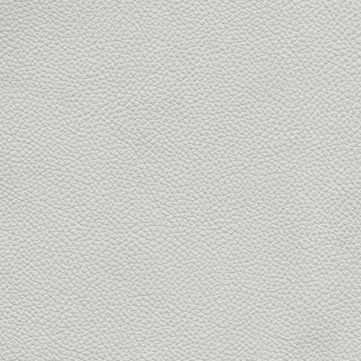 Pelle Uruguay Polvere 1008 – vera pelle a stampa fine, colore grigio chiaro