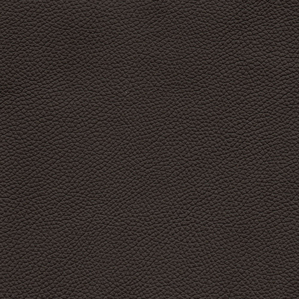 Pelle Uruguay Brown 1021 – vera pelle a stampa fine, colore marrone