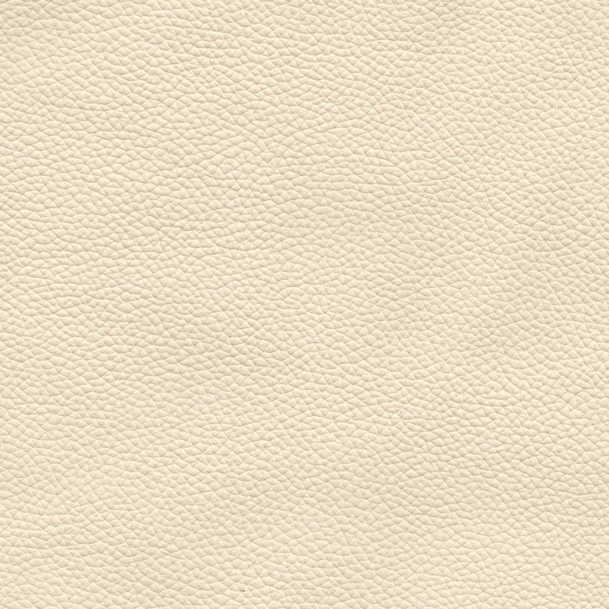 Pelle Uruguay Off White 1022 – vera pelle a stampa fine, colore bianco
