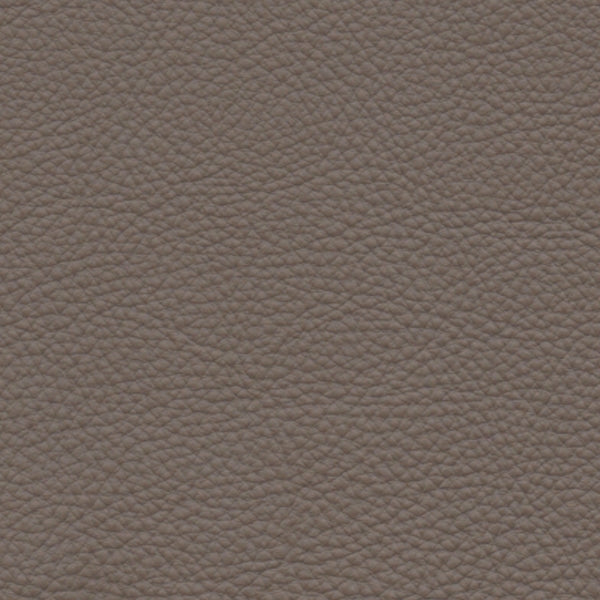 PELLE NATURAL Visone 4012