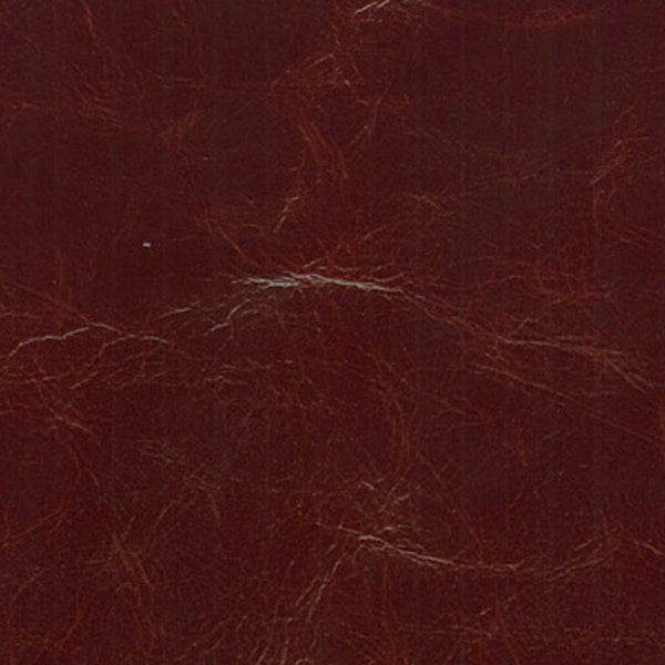 PELLE ETRUSCO Wine 8001