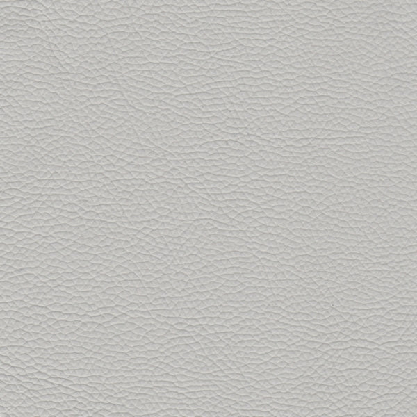 PELLE URUGUAY Polvere 1008