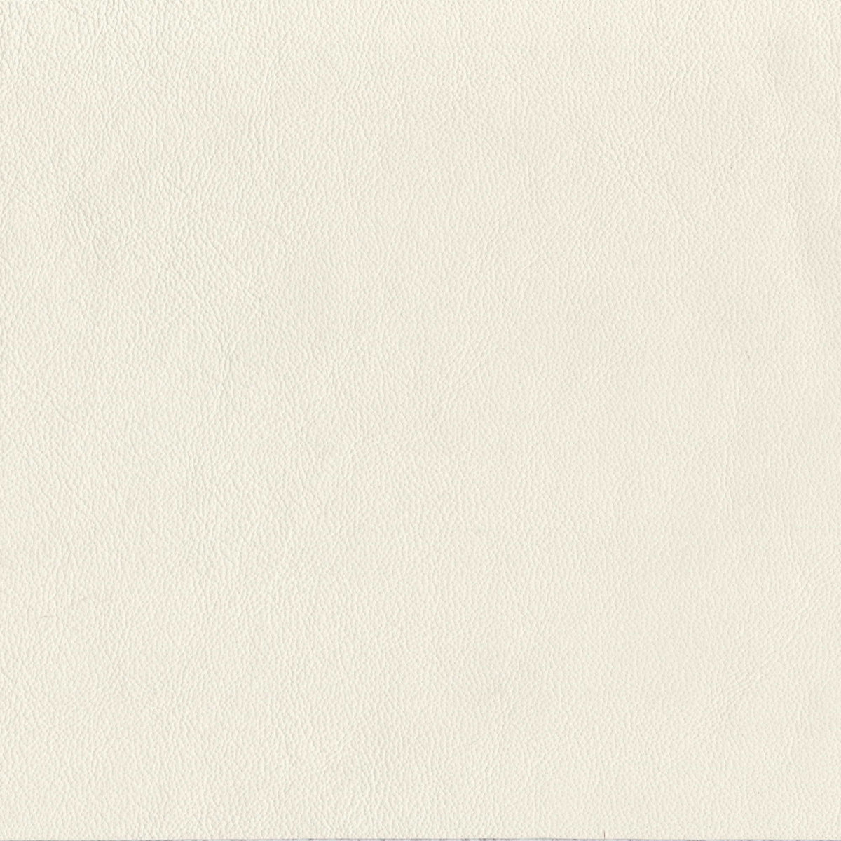 Pelle Elegance Bianco 2001 – vera pelle liscia effetto cuoietto, campione steso