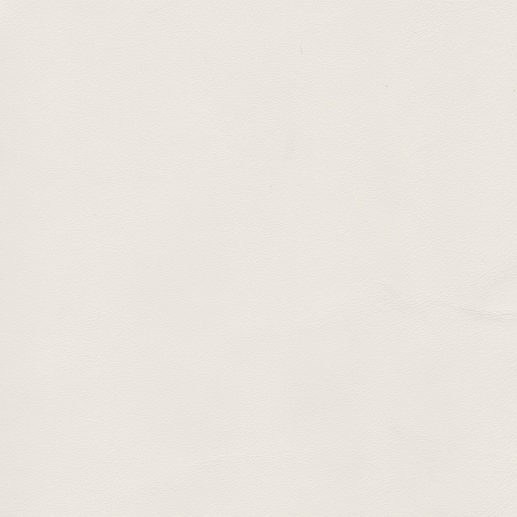 PELLE ELEGANCE Snow 2022