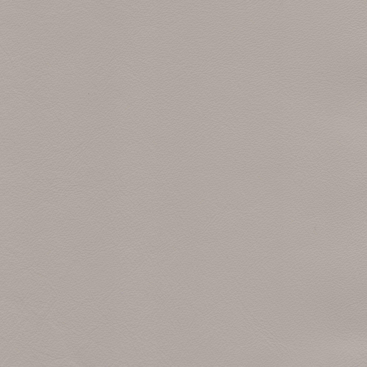 PELLE ELEGANCE Tortora 2025