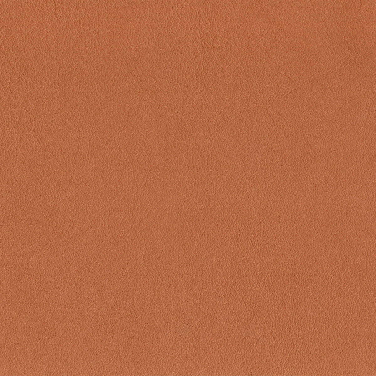 Pelle Elegance Cuoio 2028 – vera pelle liscia effetto cuoietto, campione steso