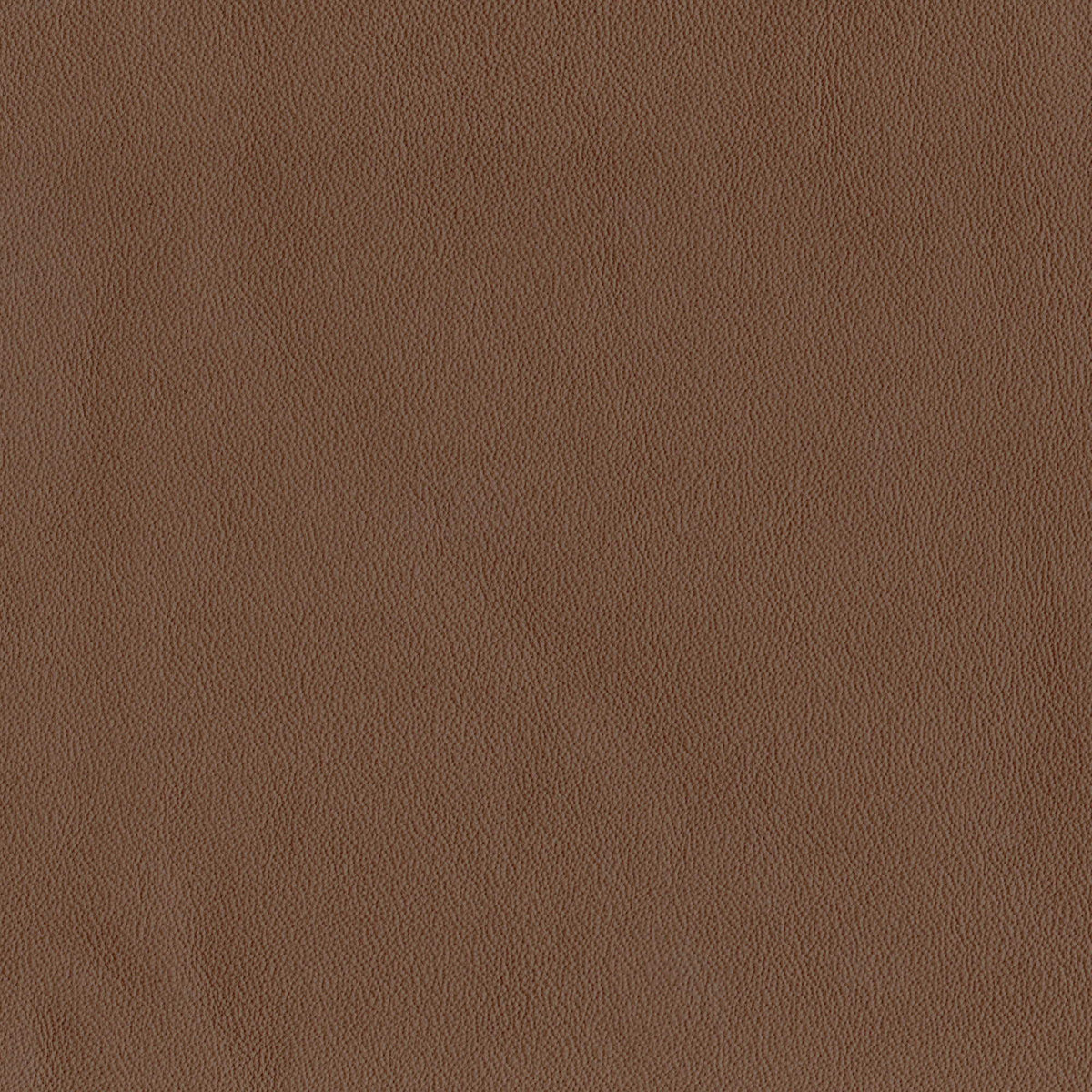 Pelle Elegance Coffee 2031 – vera pelle liscia effetto cuoietto, campione steso
