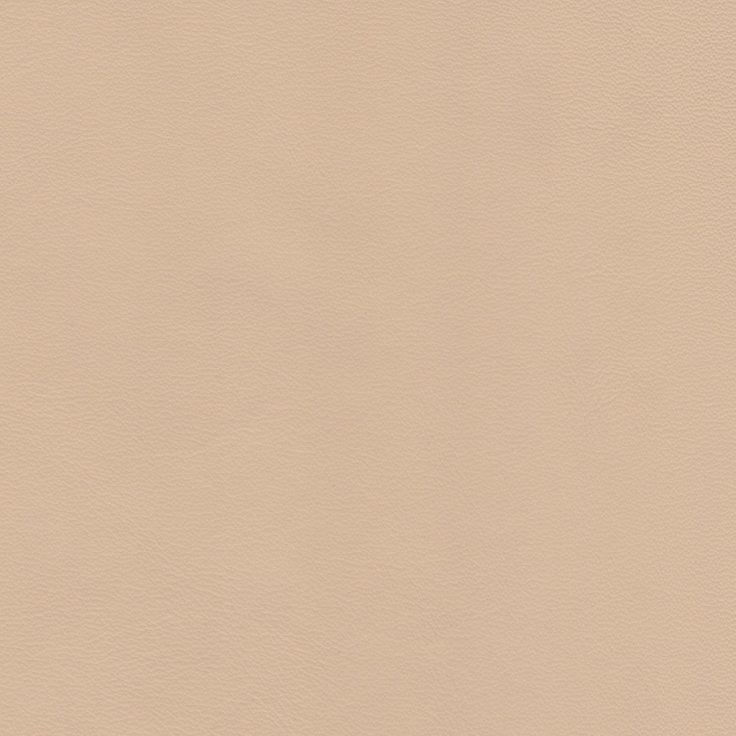 PELLE ELEGANCE Nude 2033