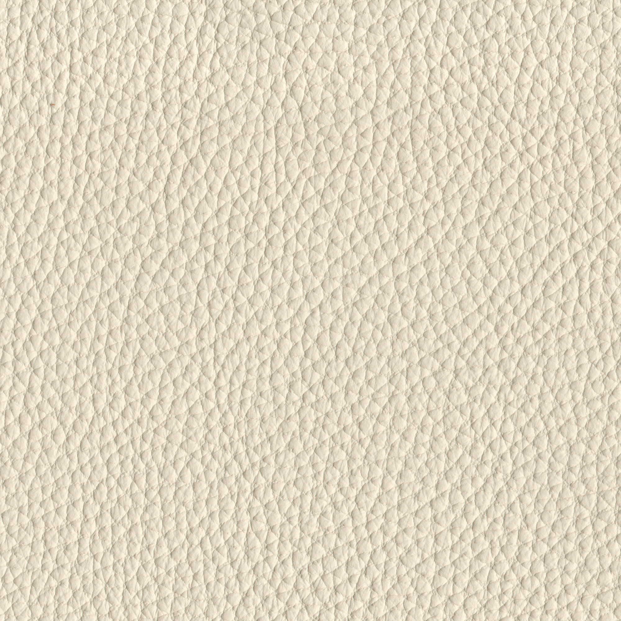Pelle Spessorato Ice 3001 – vera pelle martellata stampa dollaro, campione steso