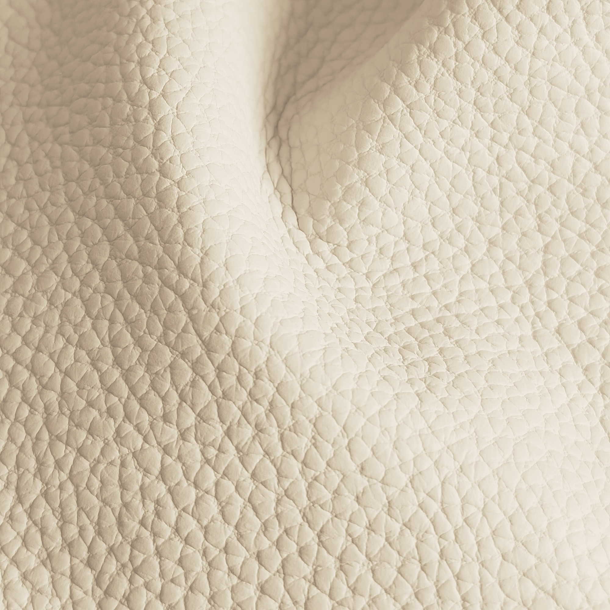 Pelle Spessorato Ice 3001 – vera pelle martellata stampa dollaro in drappeggio