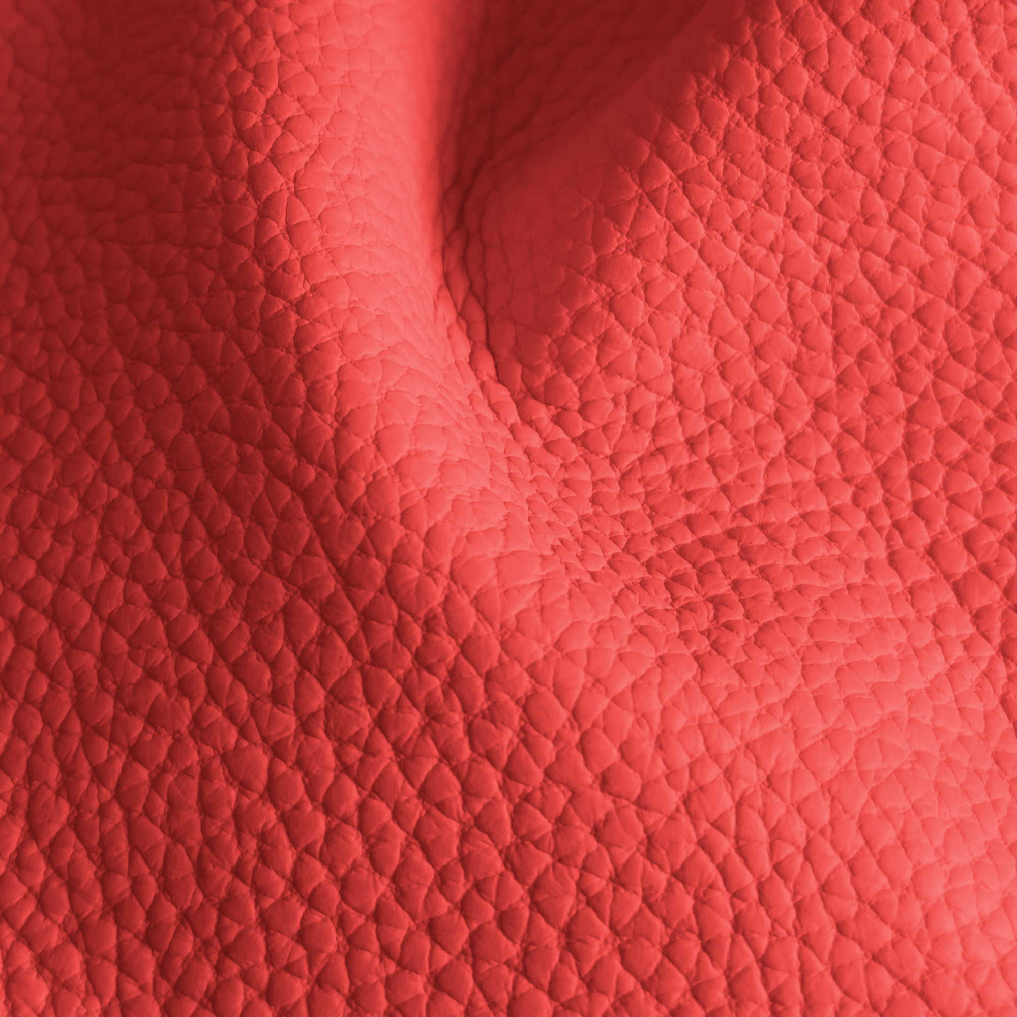 Pelle Spessorato Rosso 3004 – vera pelle martellata stampa dollaro in drappeggio