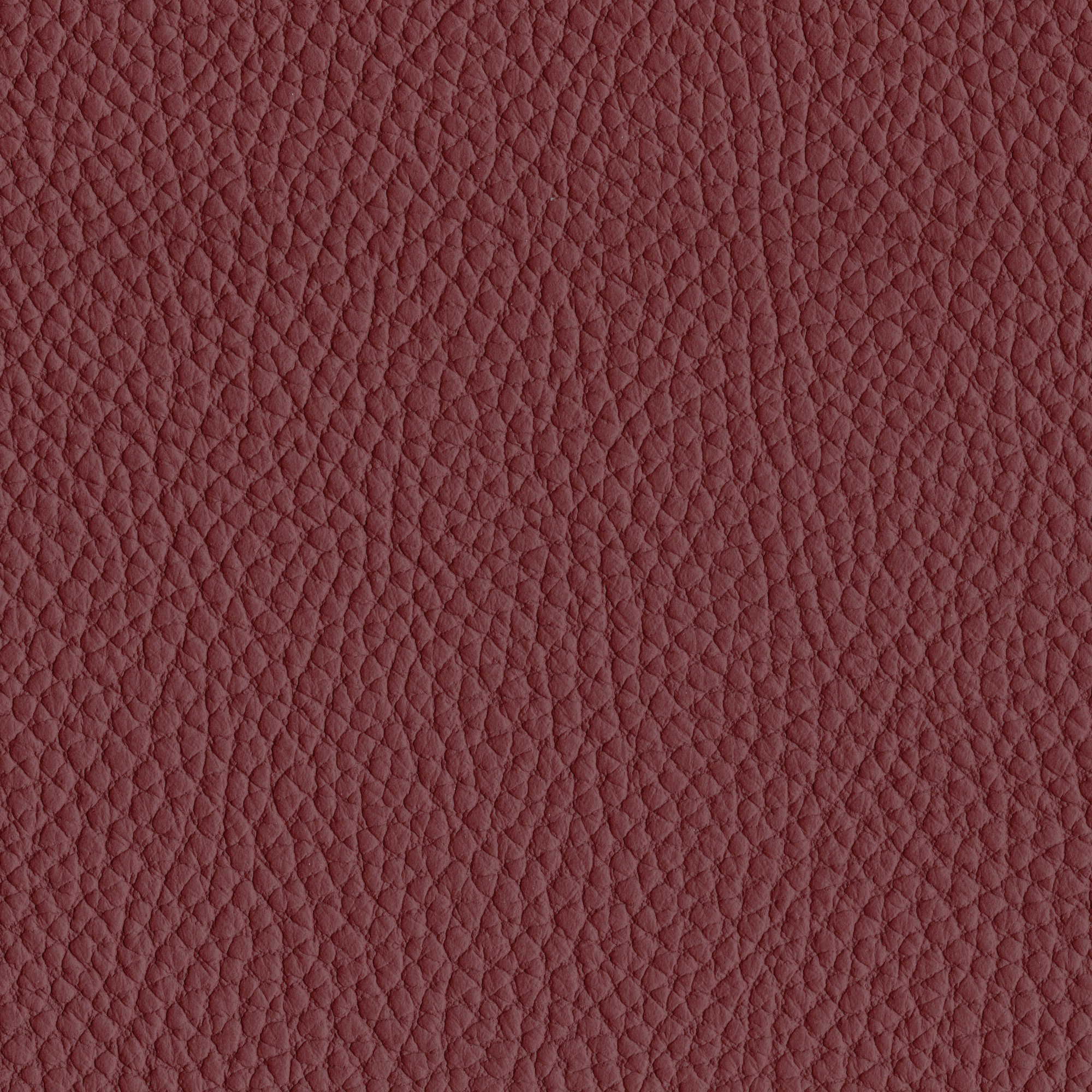 Pelle Spessorato Bordeaux 3005 – vera pelle martellata stampa dollaro, campione steso