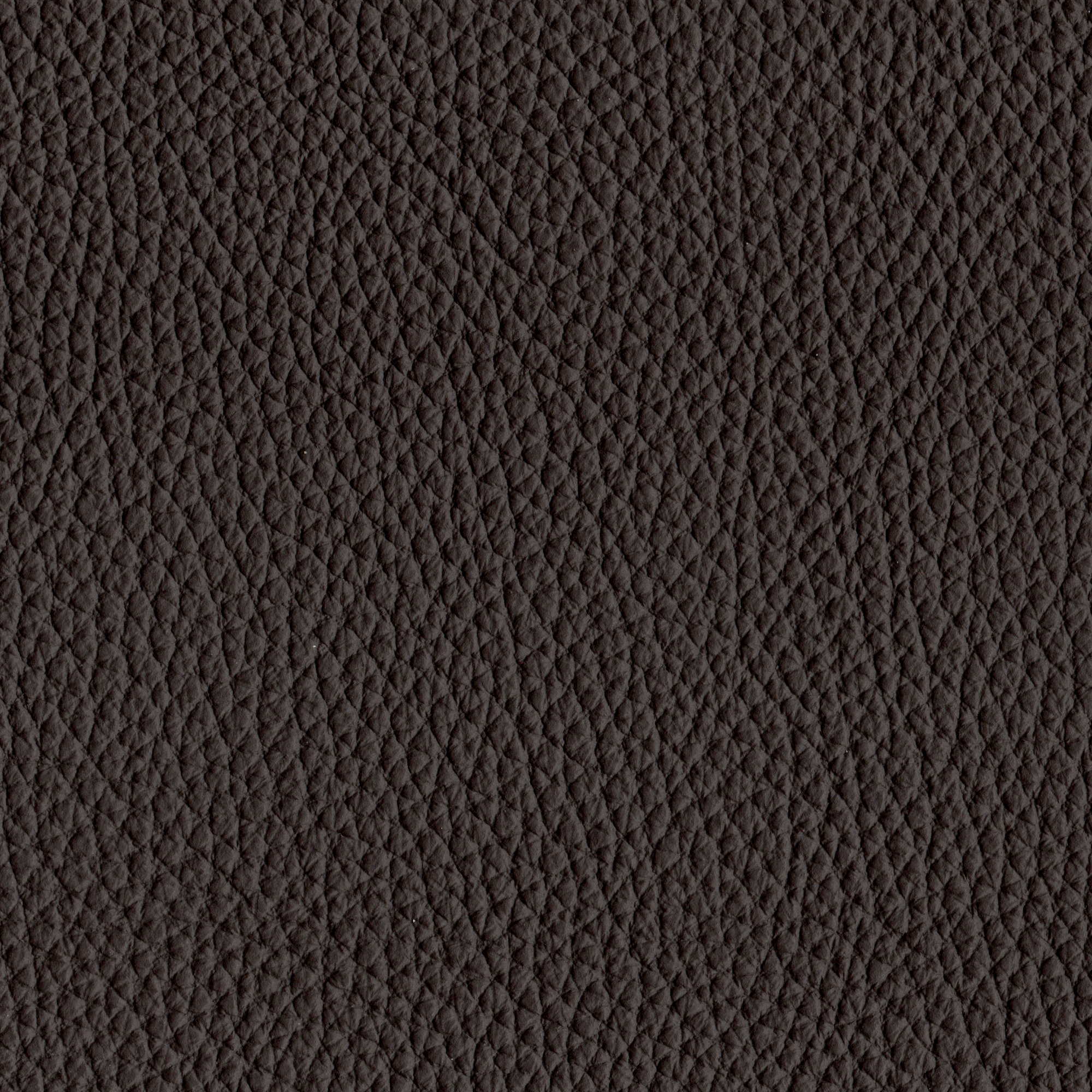 Pelle Spessorato Brown 3007 – vera pelle martellata stampa dollaro, campione steso