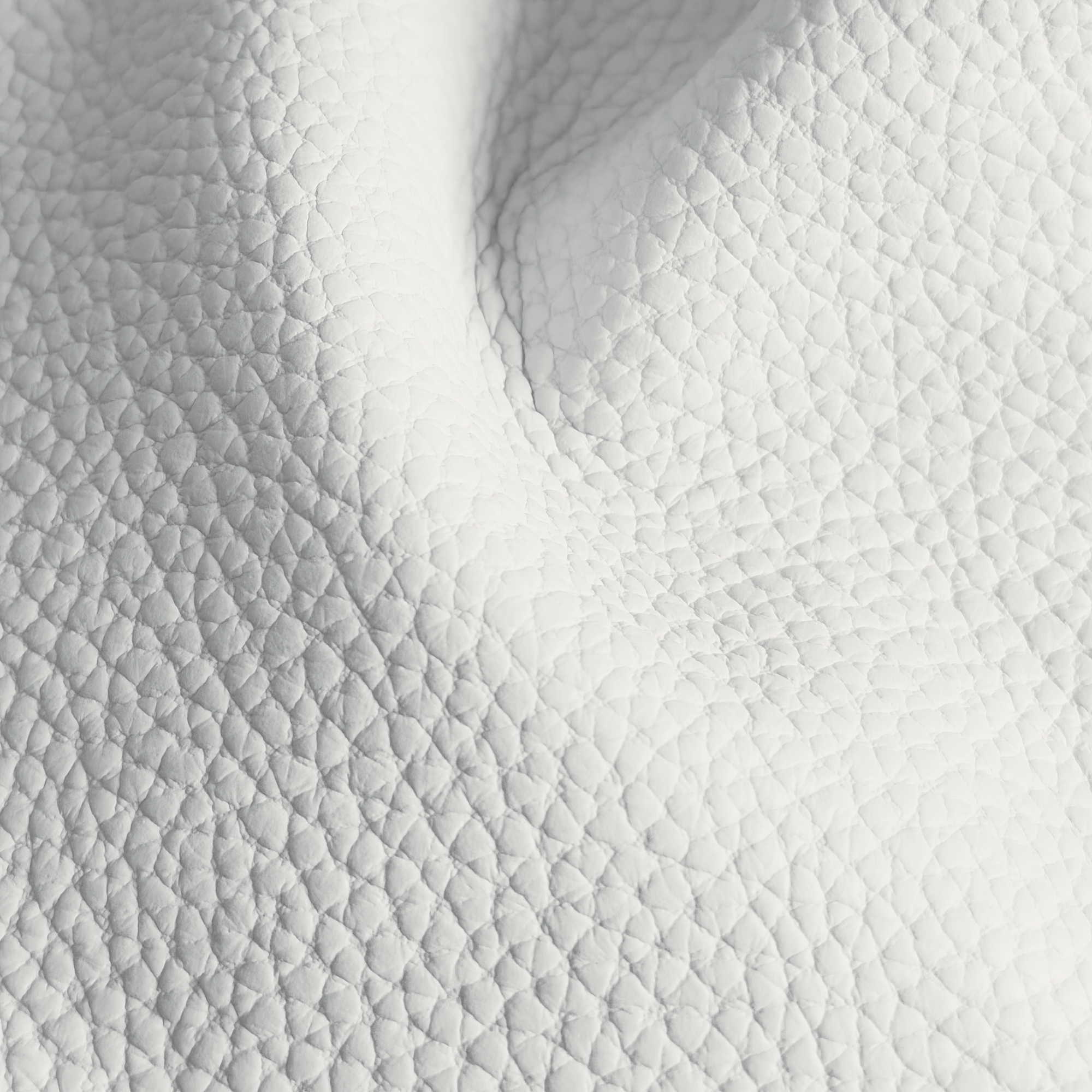 Pelle Spessorato Bianco 3009 – vera pelle martellata stampa dollaro in drappeggio