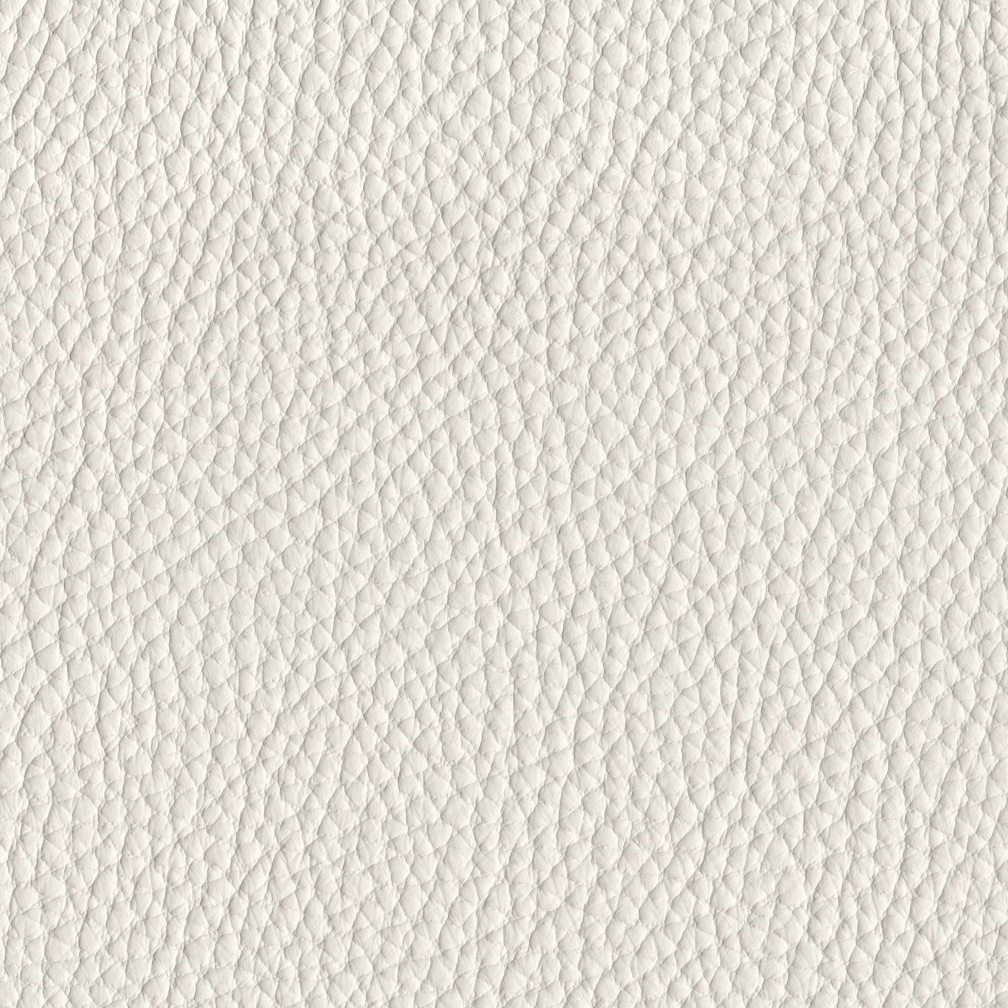 Pelle Spessorato Ivory 3010 – vera pelle martellata stampa dollaro, campione steso