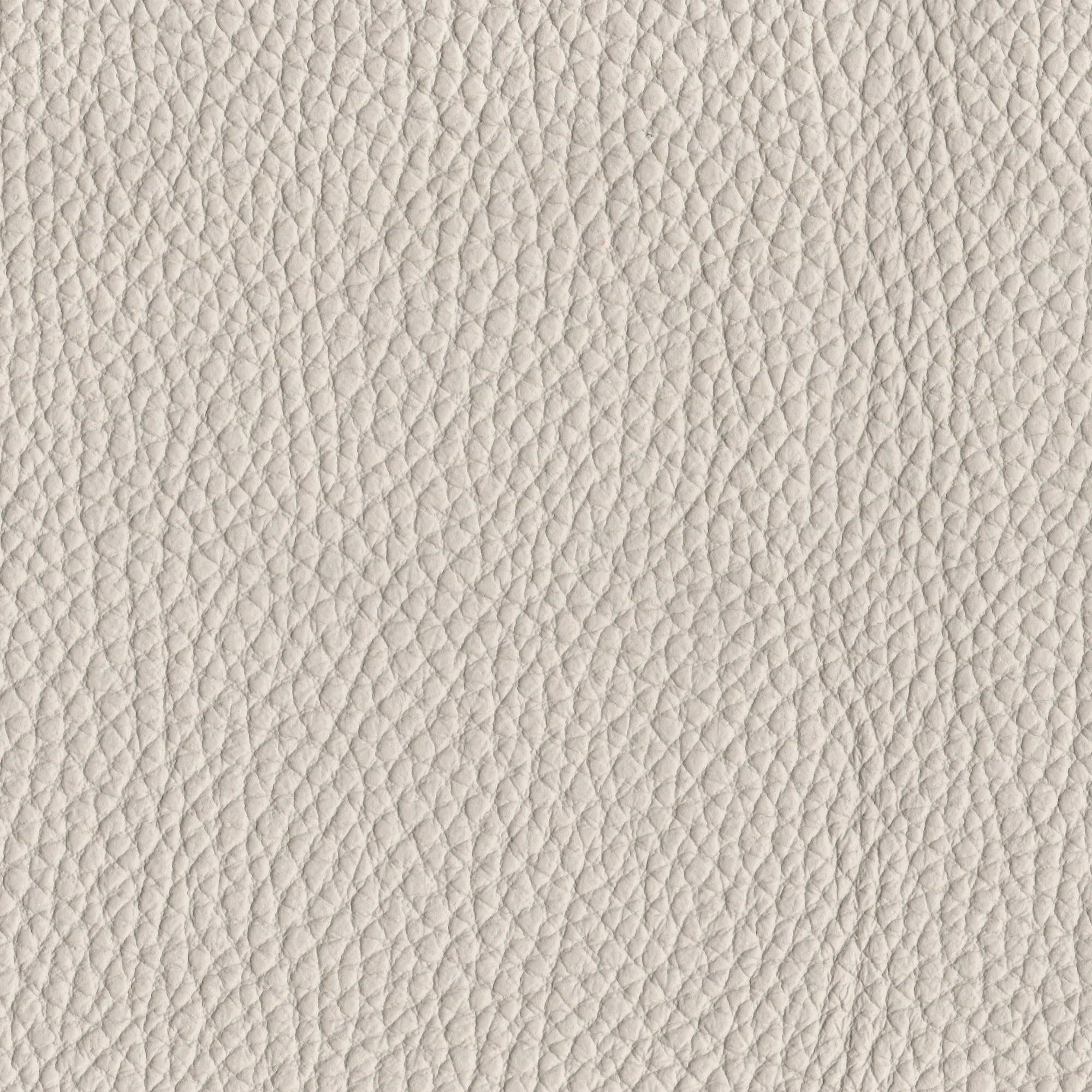 Pelle Spessorato Lino 3019 – vera pelle martellata stampa dollaro, campione steso