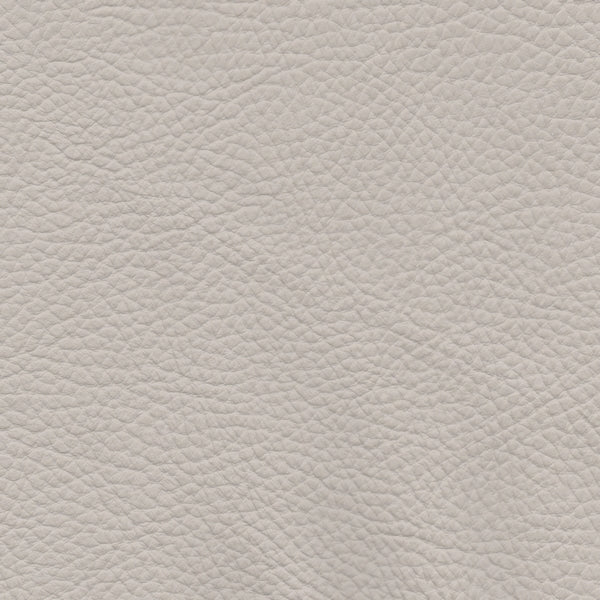 PELLE SPESSORATO Lino 3019