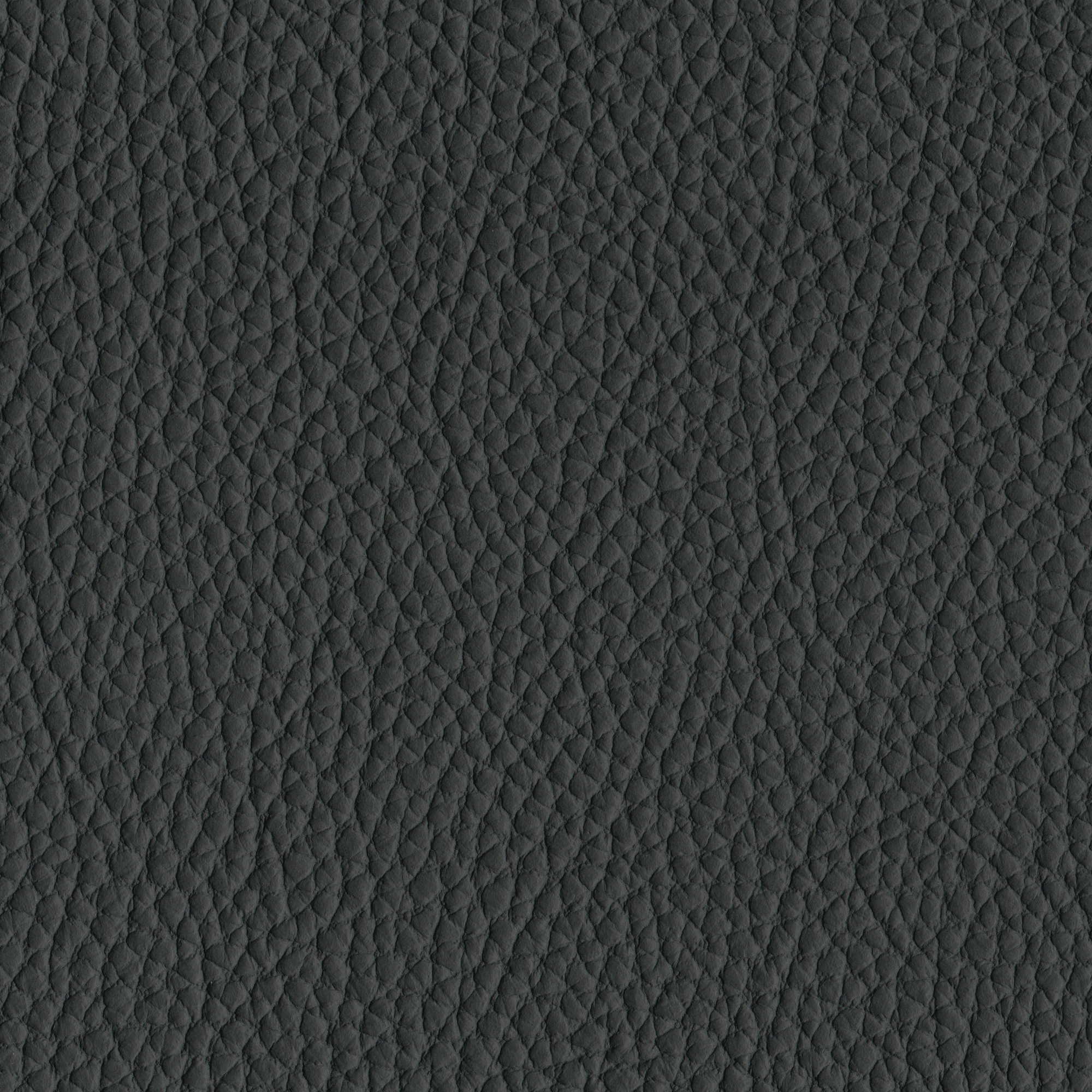 Pelle Spessorato Carbon 3029 – vera pelle martellata stampa dollaro, campione steso