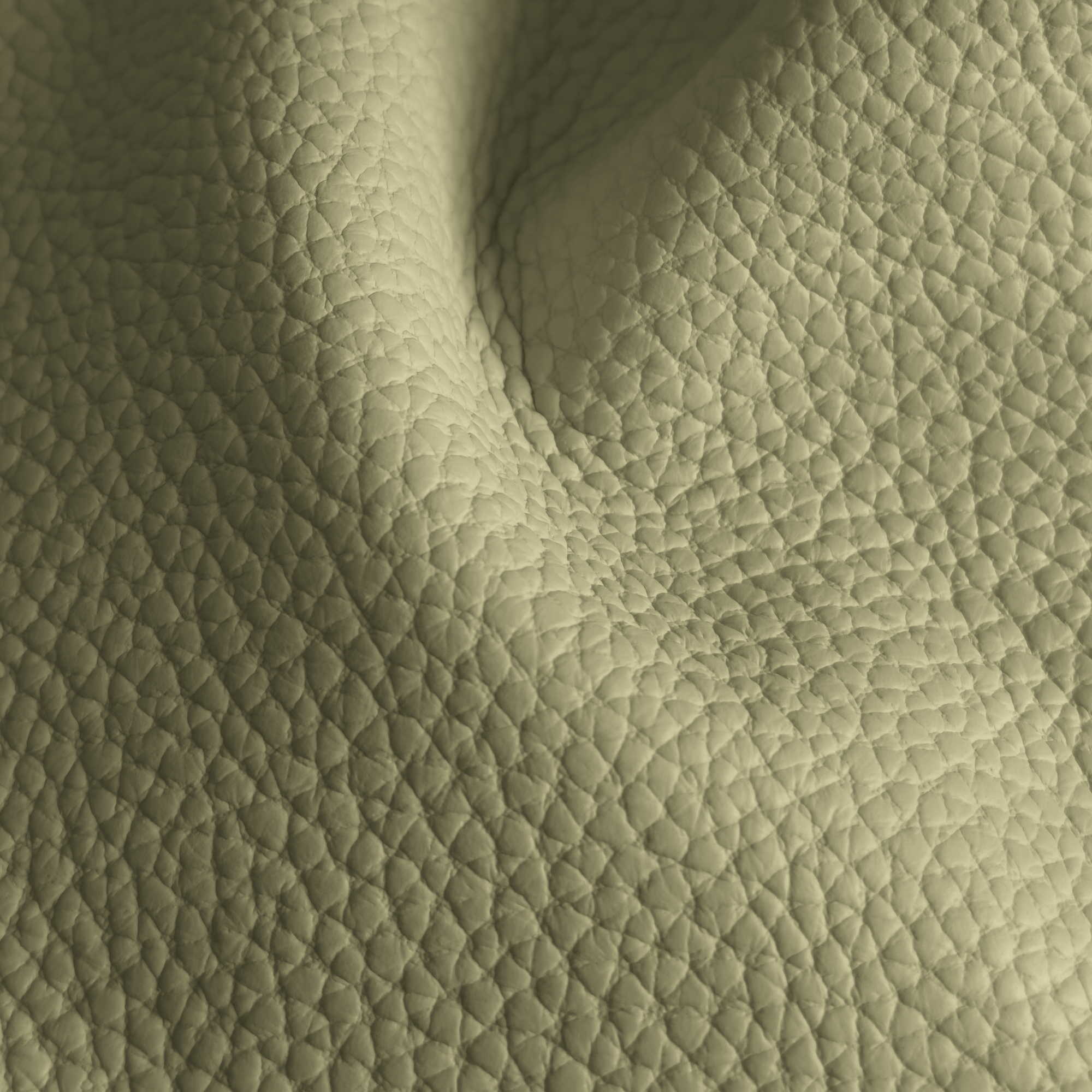 Pelle Spessorato Aloe 3032 – vera pelle martellata stampa dollaro in drappeggio