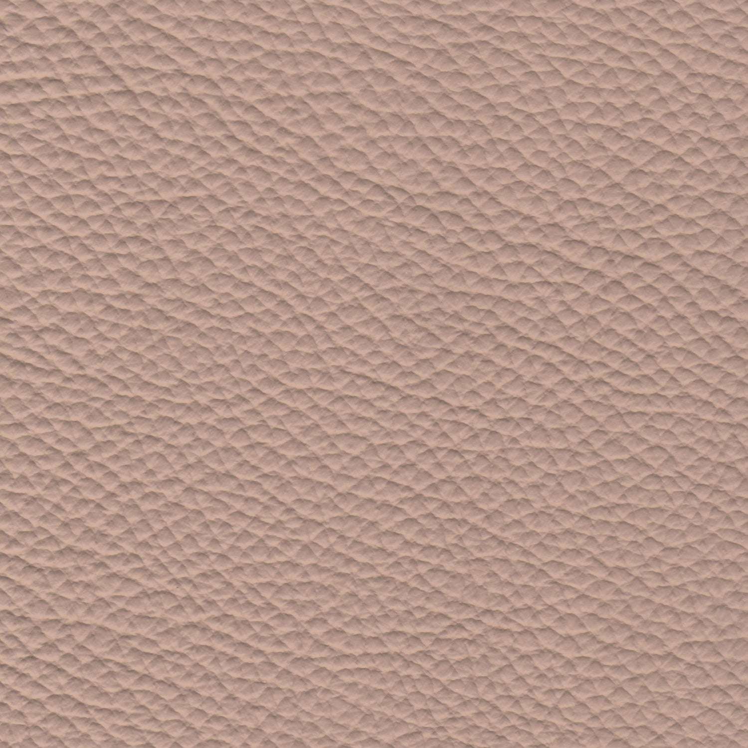 PELLE SPESSORATO Cipria 3035