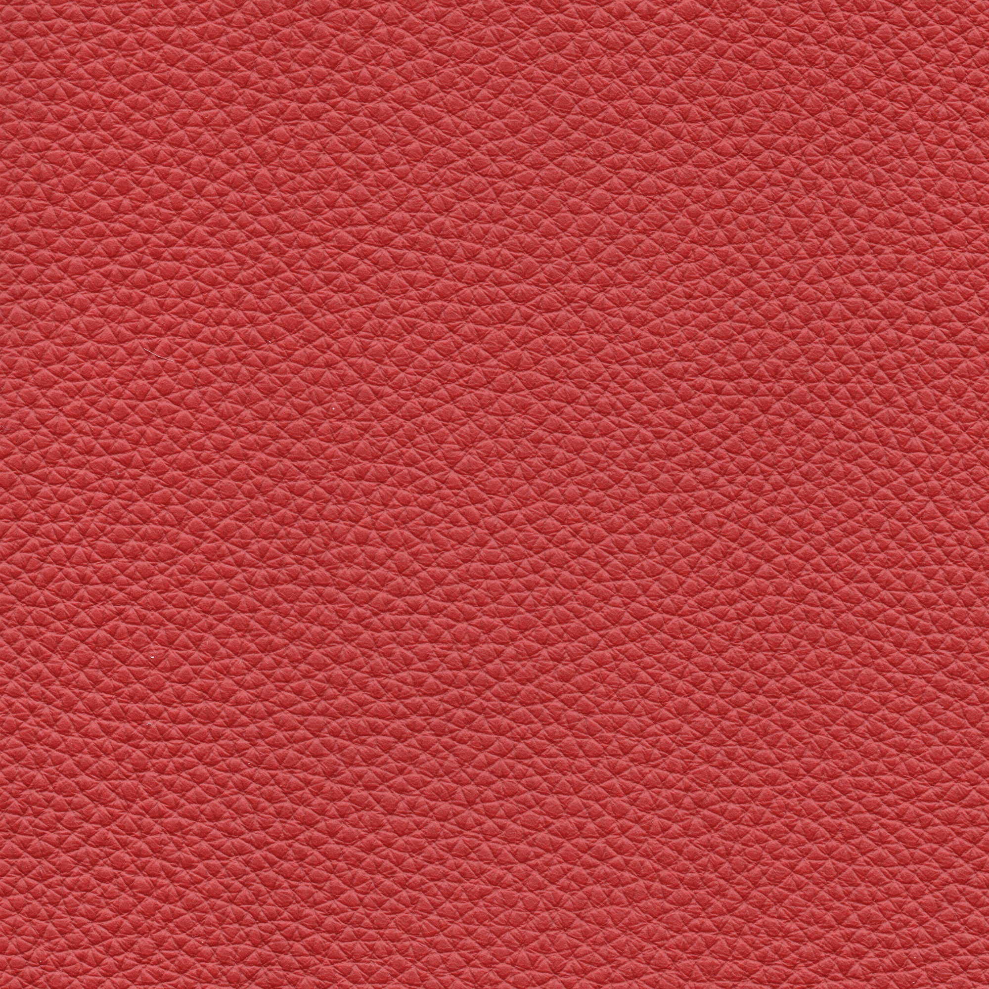 Pelle Natural Cardinale 4006 – vera pelle fiore morbida, campione steso