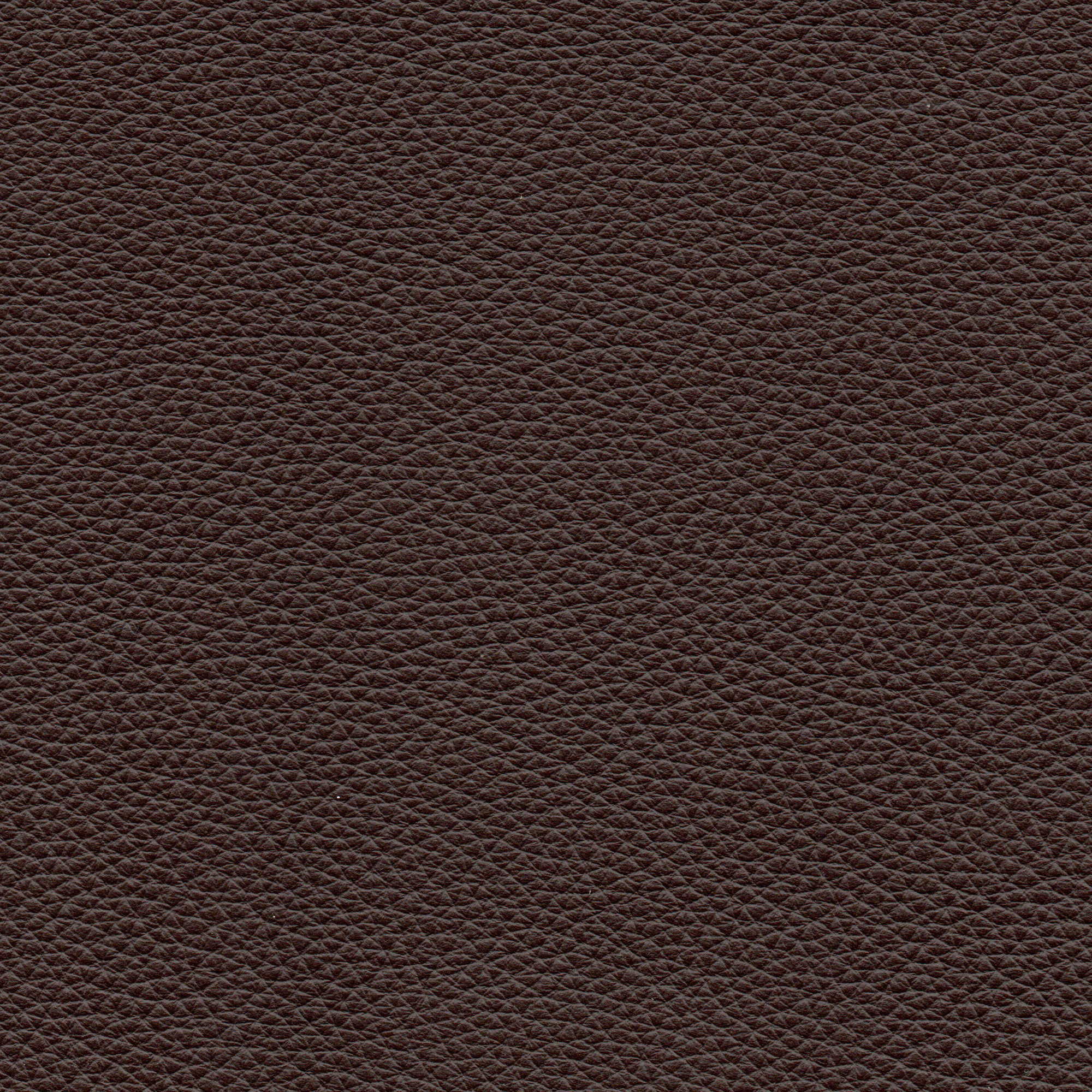 Pelle Natural Brown 4007 – vera pelle fiore morbida, campione steso